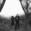 Foxygen