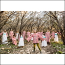 The Polyphonic Spree